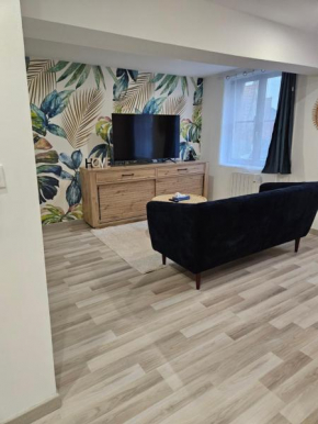 Appartement T2 cosy proche de la gare